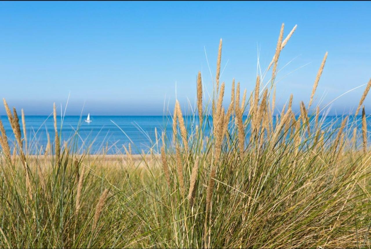 Viale Villa Egmond aan Zee Dış mekan fotoğraf